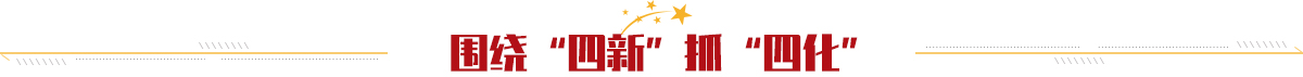 围绕四新抓四化